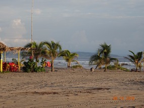 SB 1