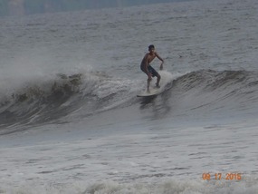 surf 6
