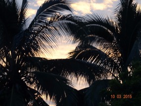 shy sun