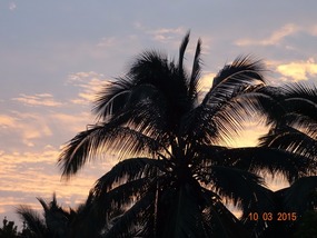 sunrise