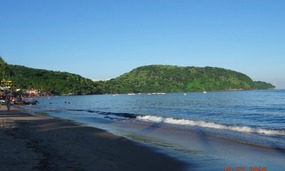 Los Ayala S