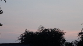 0647