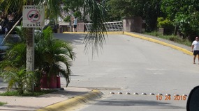 bridge