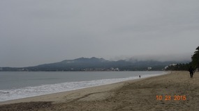 north
