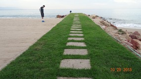 tee? or alien runway?
