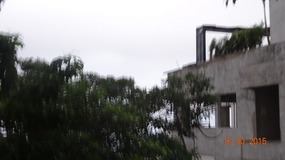 windy