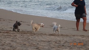 having fun