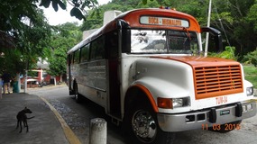 local bus