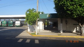 Estrella de Oro