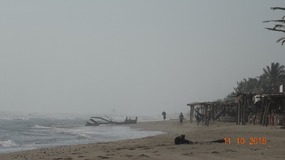storm trash on beach