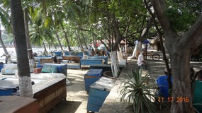 beachfront 'fleet'