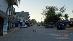 beach drive looking S