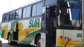 my bus