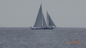 60X, handheld