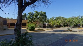 M-turtle museum