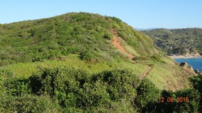 Punta Cometa