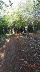 trail