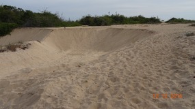 need beach sand?