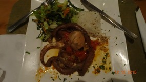 octopus