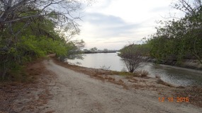 road in/out