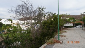 street