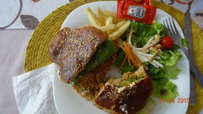 panini maya