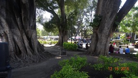 Zocalo