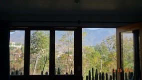 looking out
