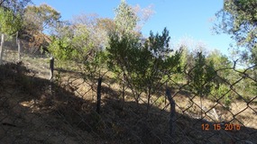 west