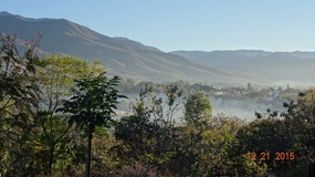 morning fog
