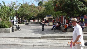 park
