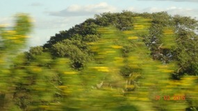 countryside