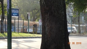 train