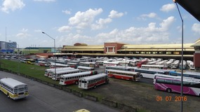 buses