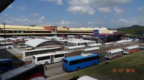 buses