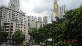 picture window view