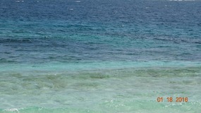 color
