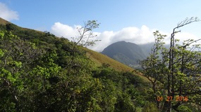 mtns