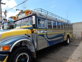 my bus