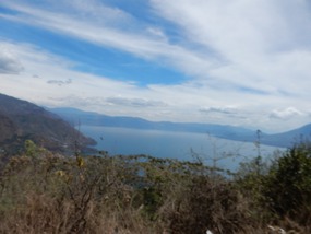 view