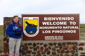 The island is a Penguin Preserve