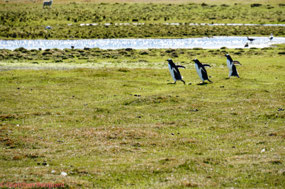 I think they are in a hurry