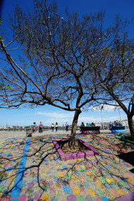 Colorful surroundings
