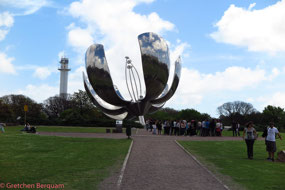 Large Tulip