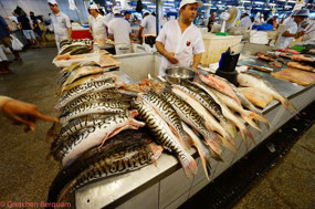 Fish Market