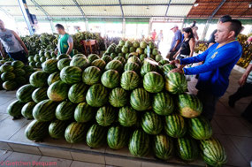 Fruit Market