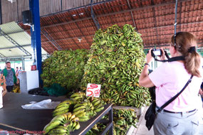 What a pile of Bananas