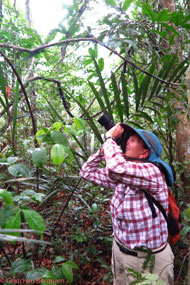Looking for birds