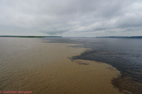 Meeting of the Waters