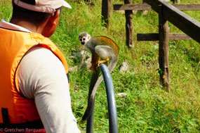 Spider Monkey came on board